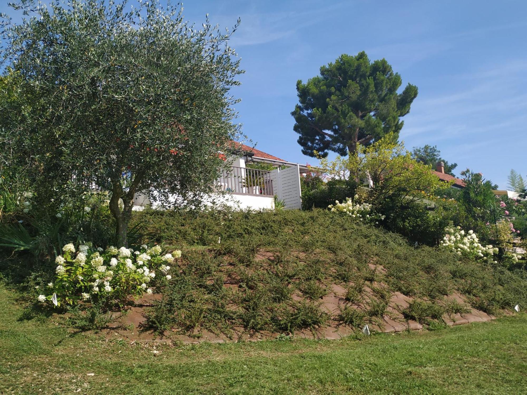 Casa Fellini Villa San Zeno di Montagna Bagian luar foto