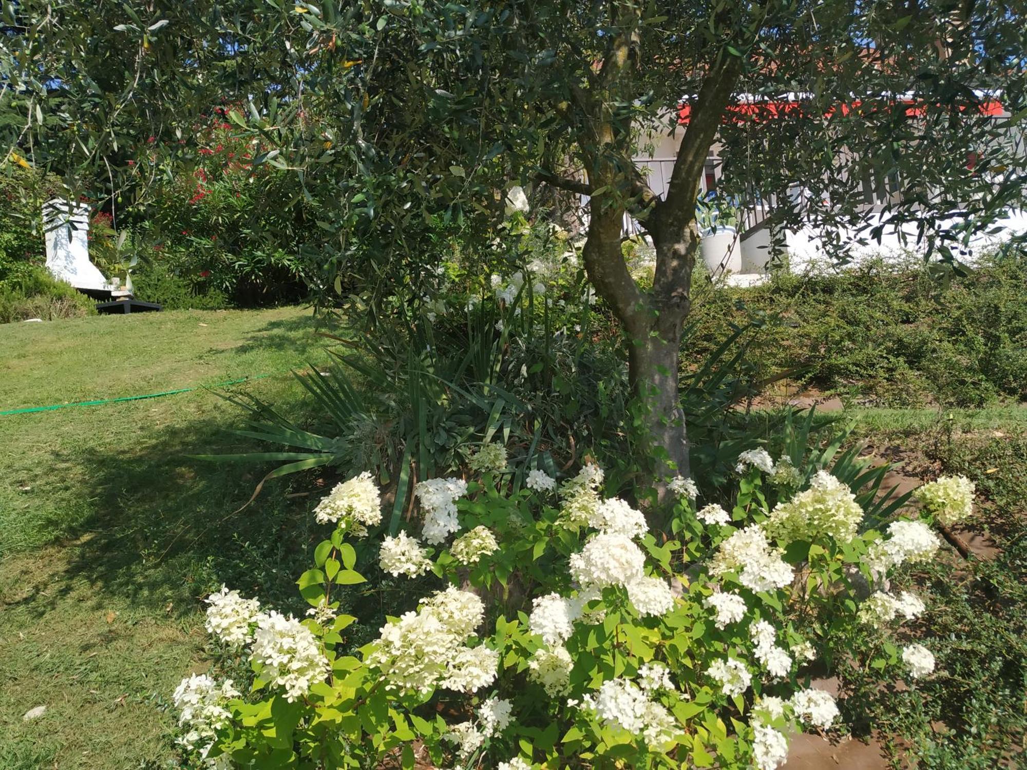 Casa Fellini Villa San Zeno di Montagna Bagian luar foto
